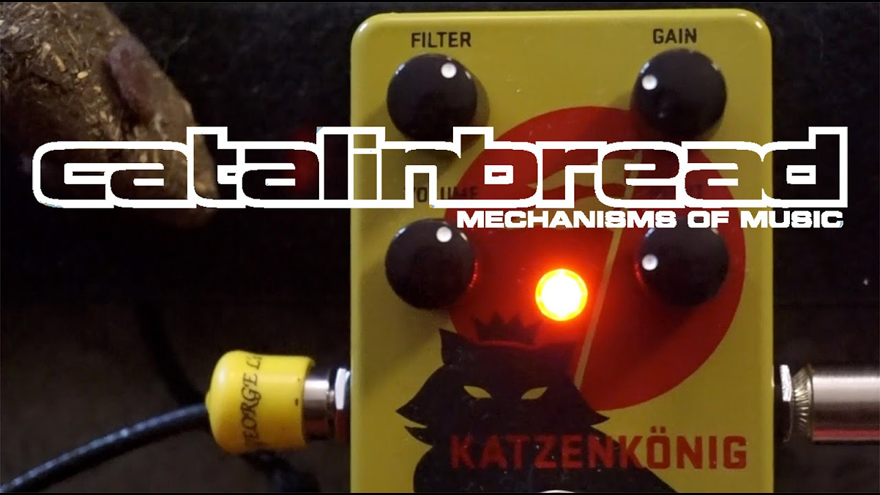 Behold the Katzenkönig! - YouTube