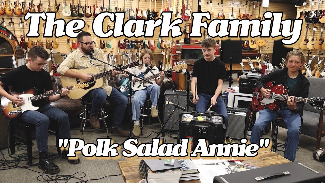 Guitar Pickup - Schertler DYN-G for acoustic guitar - AUDIO DEMO