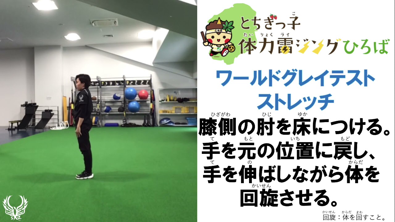 コリンシアン ワールドグレイツ 】ジダン クリンスマン等 全17体 世界