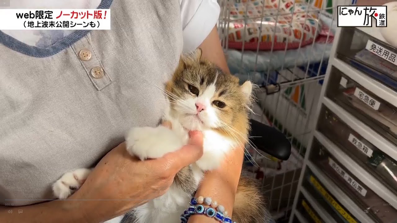 Vol.225「にゃん旅鉄道」お仕事の準備をするにゃ！【さくら駅長