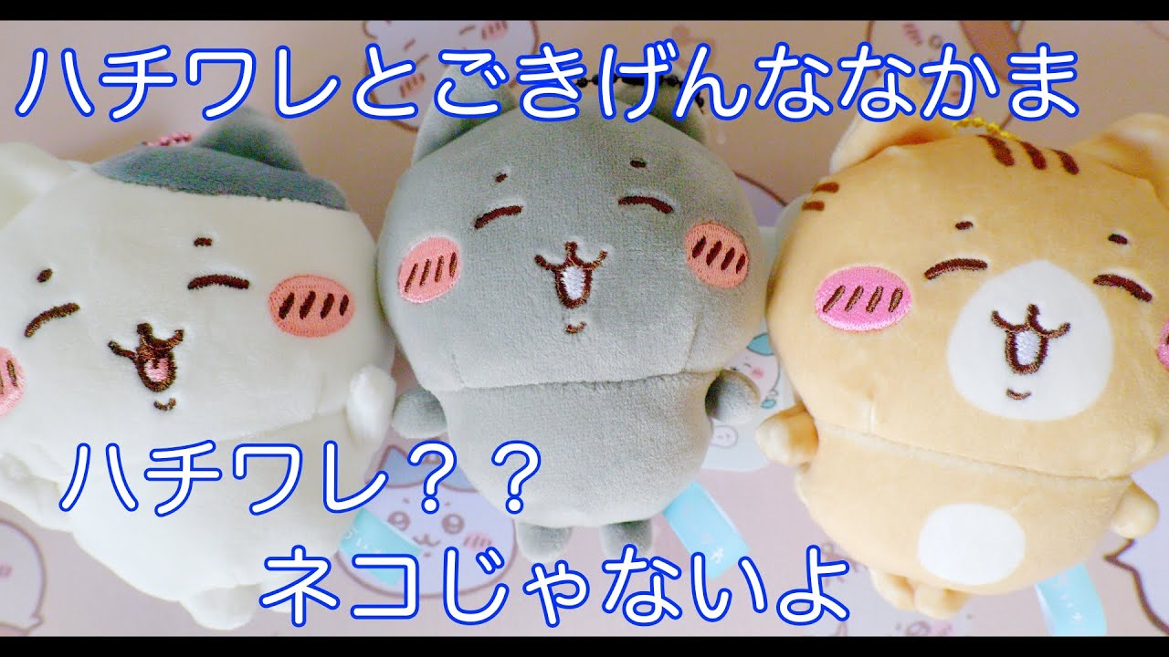 104 【ちいかわ】ハチワレ？？ごきげんマスコット開封・紹介