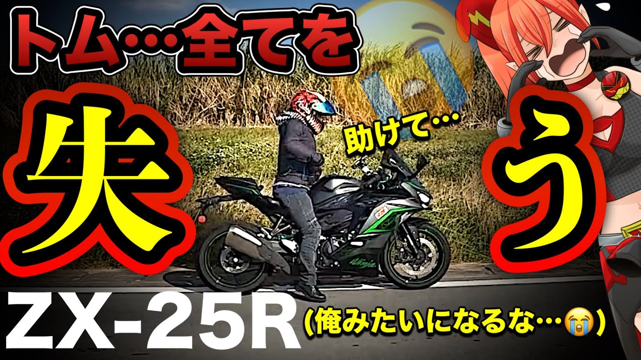 紛失】ZX25Rオーナートム…観光地で浮かれて油断し絶望する【Kawasaki