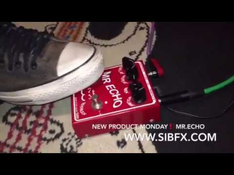 S.I.B. Mr. Echo pedal demo by Mike Ruggirello - YouTube