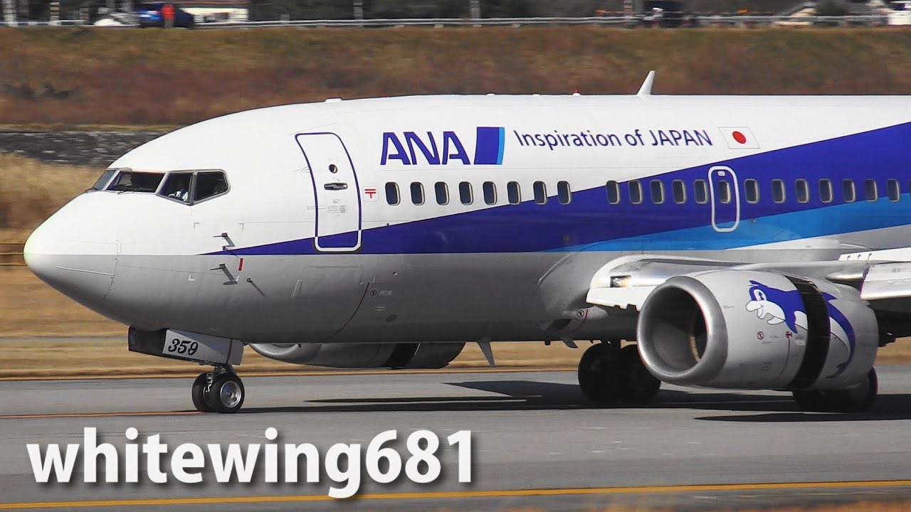 ANA's 737-500 