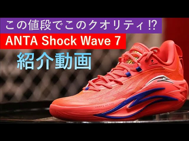 This quality at this price!? | A thorough explanation of the ANTA