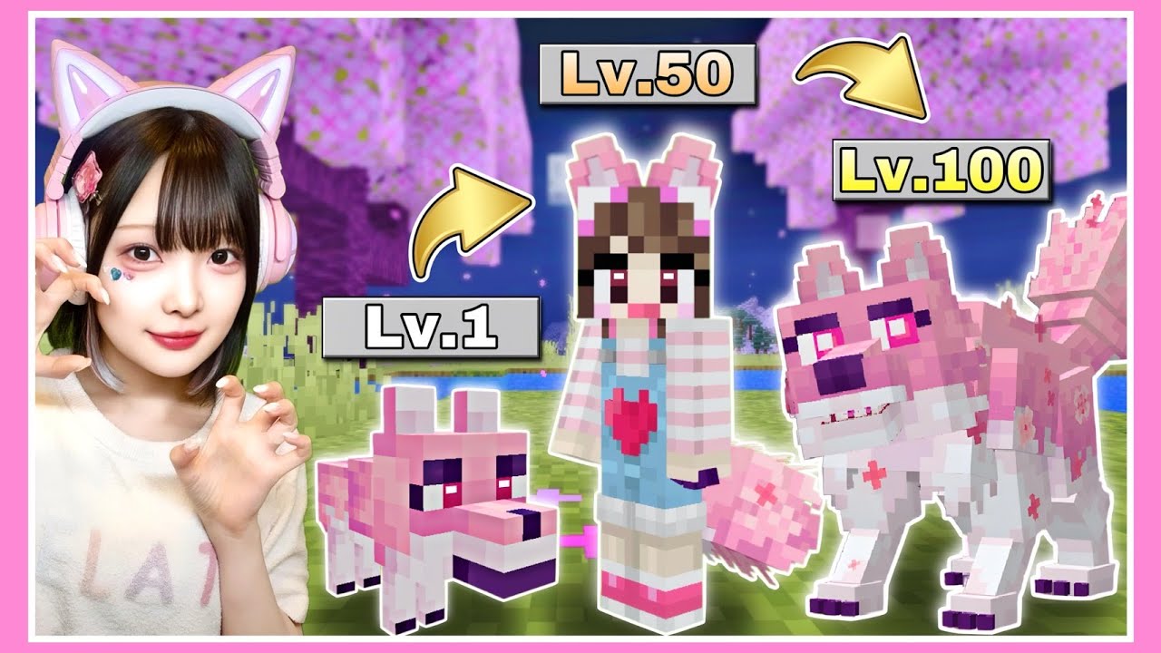 伝説のオオカミ』を目指すマインクラフト🐺⚡【マイクラ / Minecraft