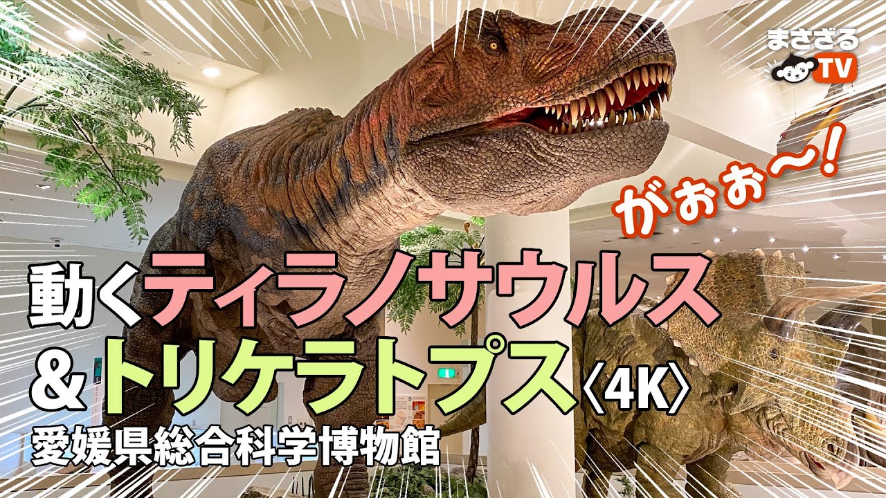 大迫力!!】動くティラノサウルス&トリケラトプス - 愛媛県総合科学