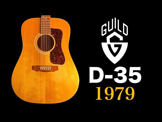 弾き比べ有り】アコギ御三家だったギルドってどう？【Guild D-35 NT