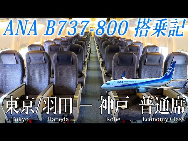 地方路線を支える万能小型機！ANA B737-800・普通席 搭乗記 東京/羽田