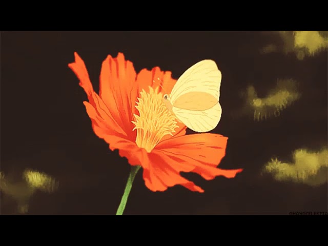 travis scott ~ butterfly effectﾉ slowed + reverb ﾉ - YouTube