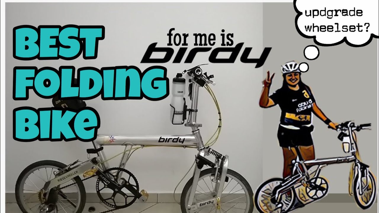 Birdy Folding Bike | Birdy Classic BD1|Best Folding Bike for me
