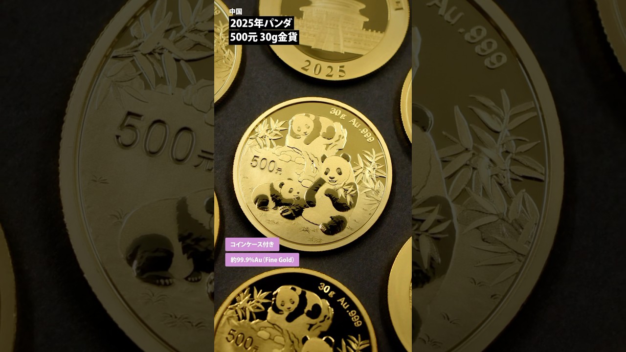 中国 2025 パンダ 500元 30グラム 金貨 【1枚】 | 英国アンティーク