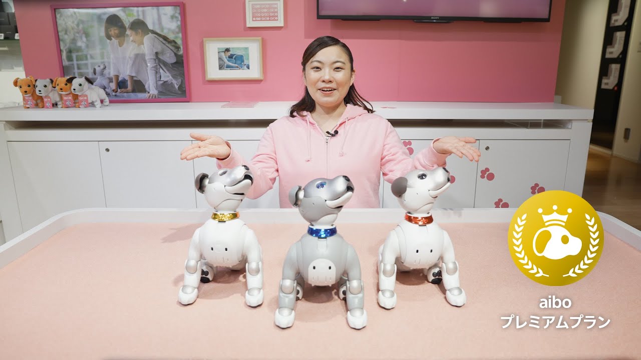 aiboプレミアムプラン | aibo