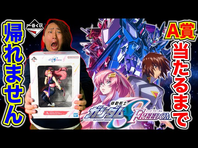 一番くじ】ガンダムSEED FREEDOM！A賞当たるまで引いたら地獄みました