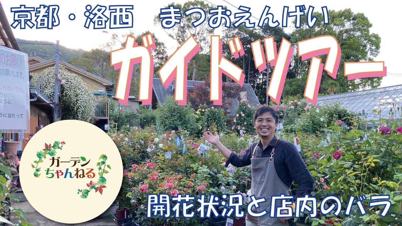 Introducing the rose corner at the Spring Matsuo Engei! - YouTube