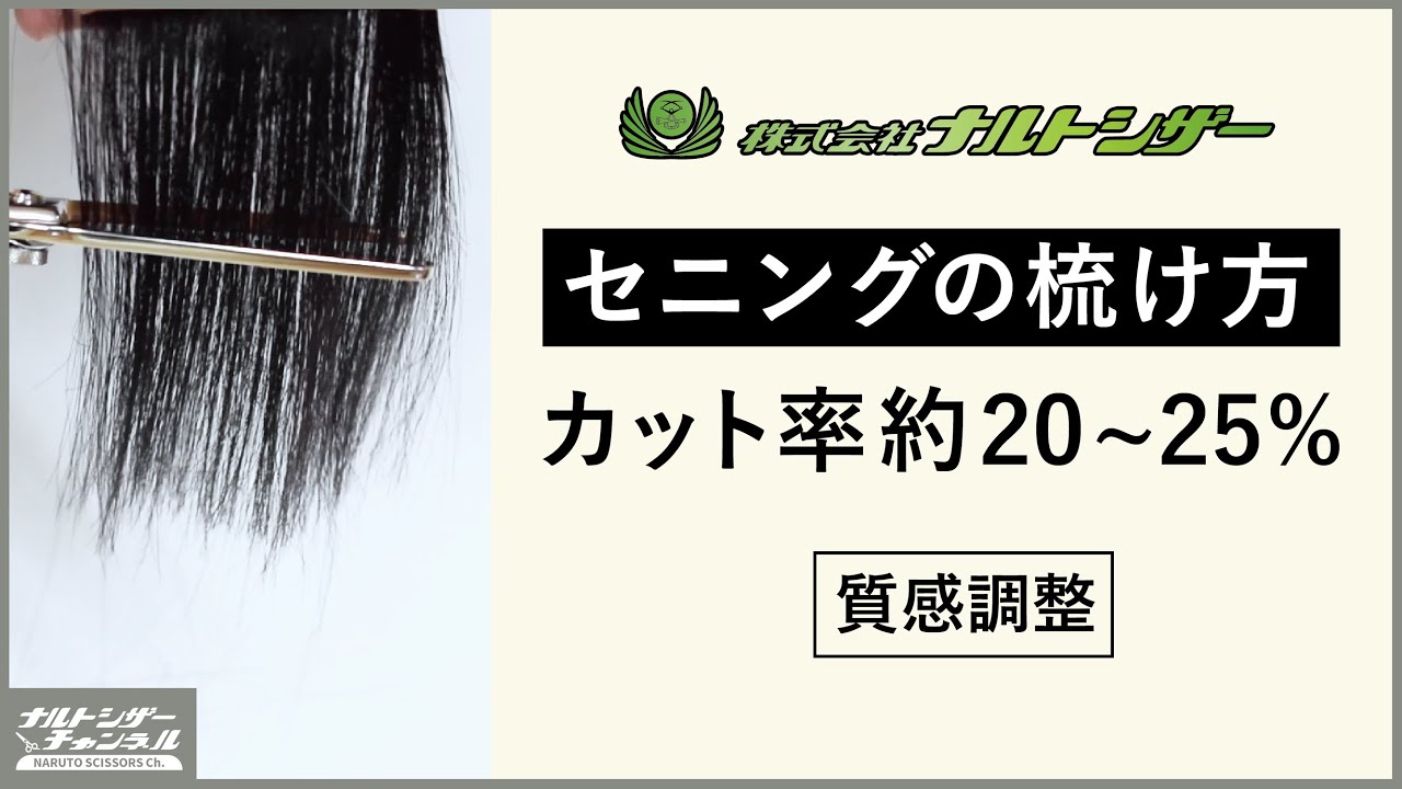 二梳きヘネシーバセットB31/2sukiHennessyBassetB31 | セニング