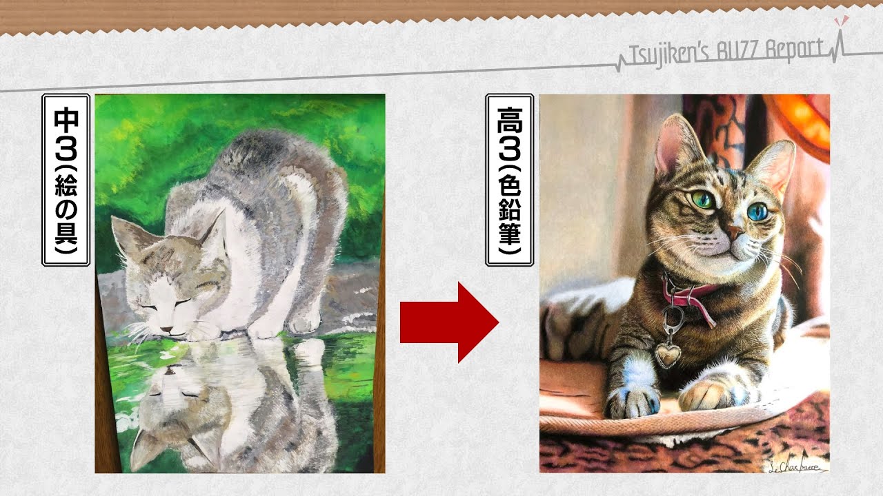 The Result of Drawing Cats for 3 Years] Eyes That Feel Life in