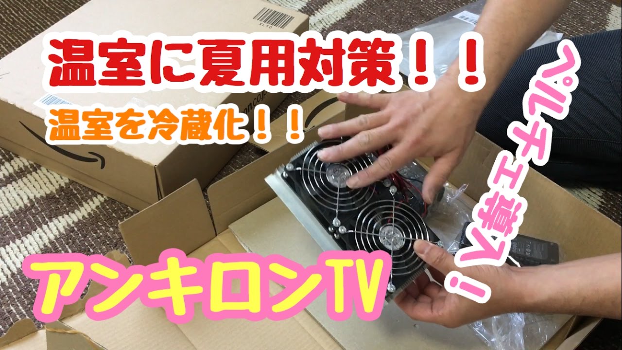 クワガタ温室にぺルチェ導入！ これで夏も安心！ - YouTube