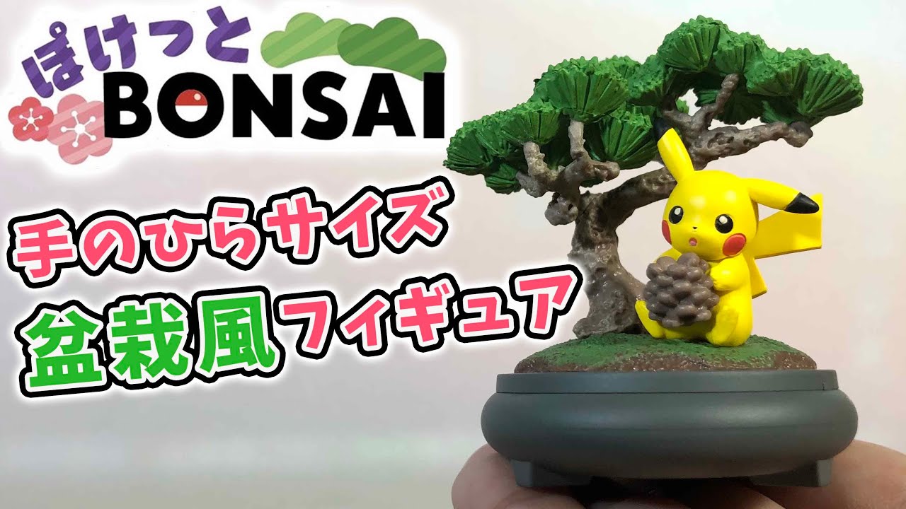 ポケモン盆栽!? ぽけっとBOBSAI 全6種コンプリート!! pokemon BONSAI