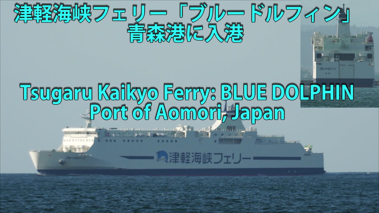津軽海峡フェリー「ブルードルフィン」青森港に入港 Tsugaru Kaikyo