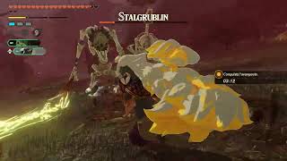 Hyrule Warriors: Age of Exile [🛡6-1] The King and the Spirits