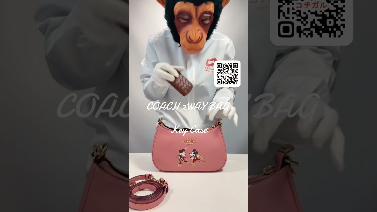 COACH】コーチ ぺブルレザー ディズニー コラボ ミッキー ミニー テリ