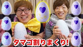 Hikakin vs Seikin battle to break 30 eggs! [Hatchimals Mini