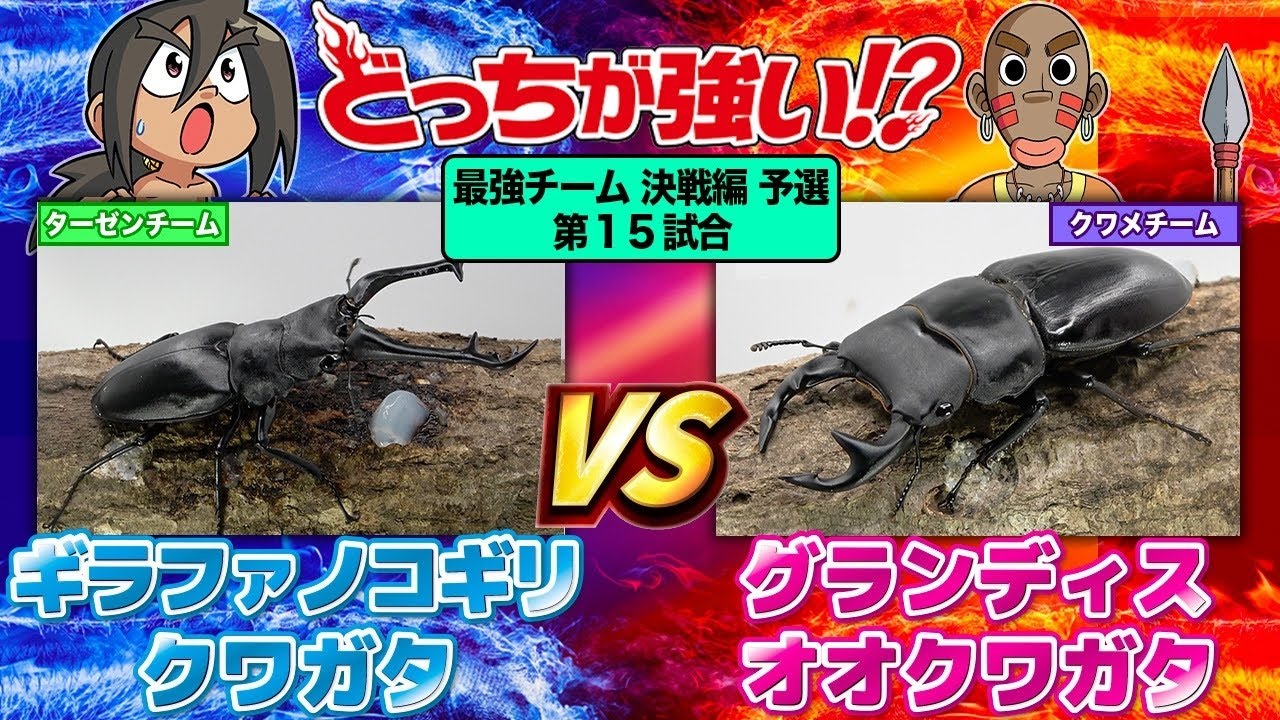 蟲神器】ギラファノコギリクワガタ(SR)の詳細【昆虫カード図鑑】