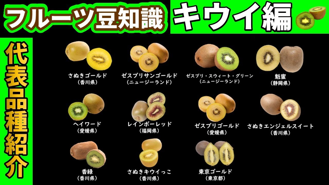 Trivia] Main varieties of kiwifruit - YouTube