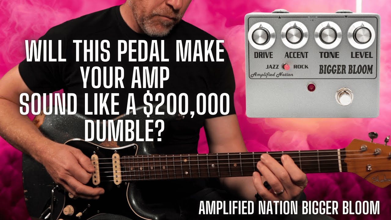 Bigger Bloom Overdrive - Amplified Nation