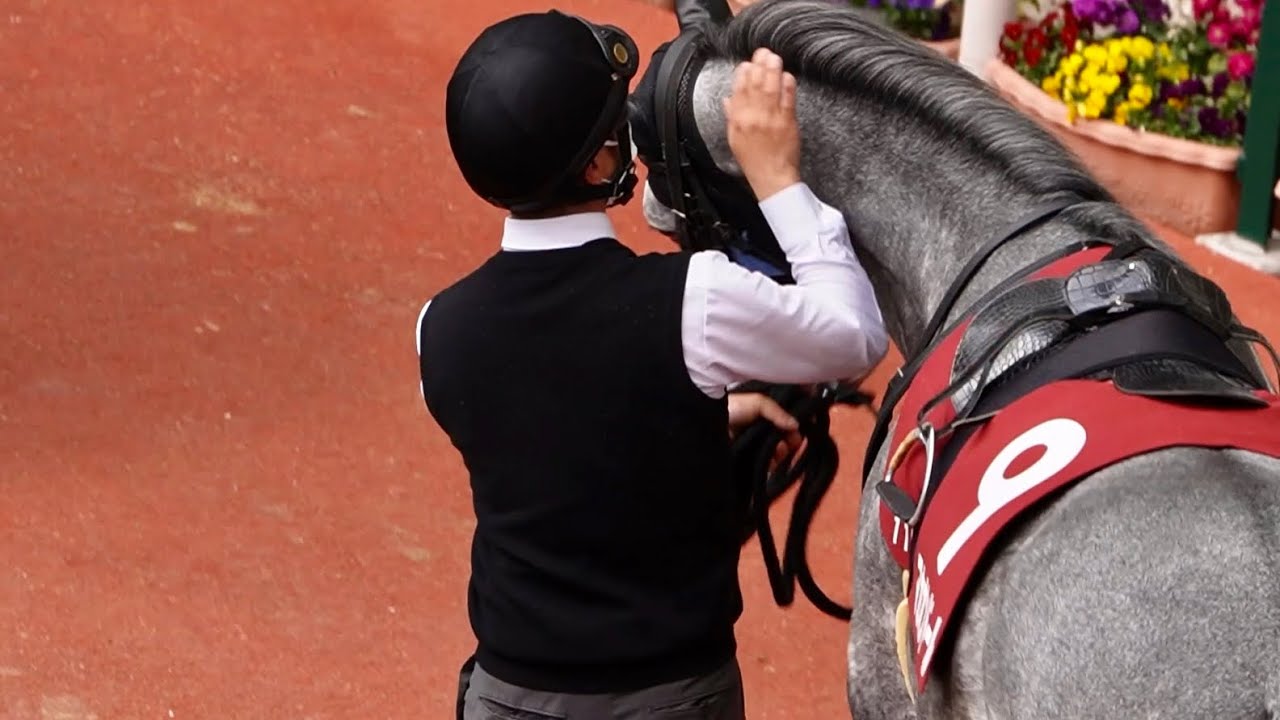 父は白いアイツ」でもひたすら可愛いマカオンドール - YouTube