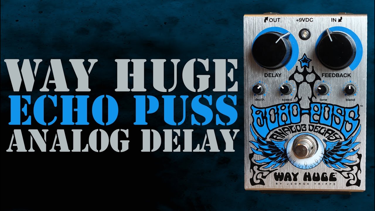 Way Huge Echo Puss Analog Delay Pedal Demo - YouTube