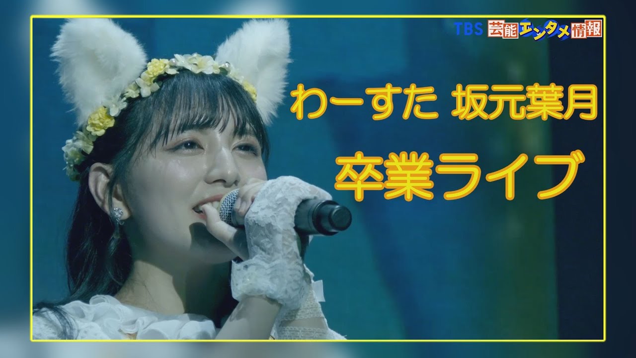 クリスマス卒業ライブ】わーすた坂元葉月“猫耳はもうつけません” - YouTube