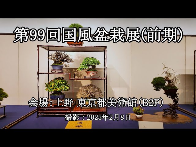 第99回国風盆栽展(前期 B2F) = 主催：日本盆栽協会 = [4K] The 99th