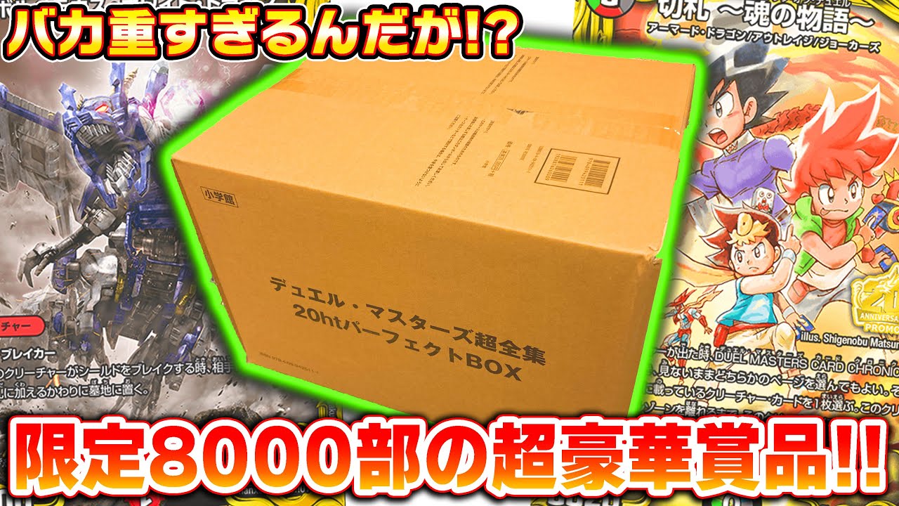 限定8000部の超全集20thパーフェクトBOXが神商品過ぎるんだが