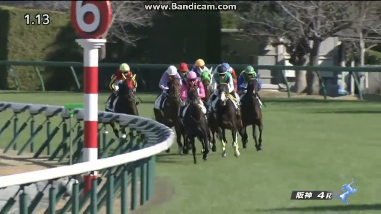 ブレットパス 2歳未勝利 - YouTube