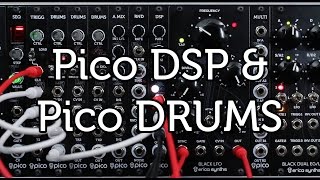 Erica Synths Pico Drums & Pico DSP Sound Demo - YouTube