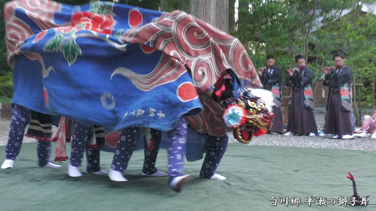 白川郷どぶろく祭り 平瀬の獅子舞 まむし 2024年 / 岐阜県白川村平瀬