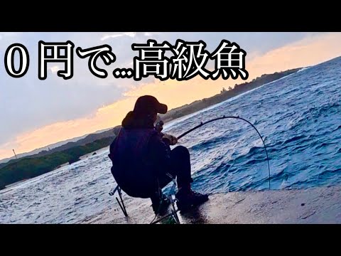 しんちゃんねる Shin Channel - YouTube
