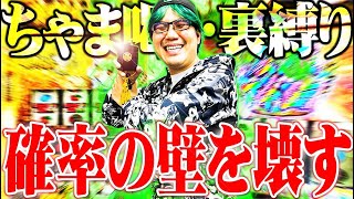 The result of Shibafu tying up the back in Gachama Kaku 2 [SEVEN'S