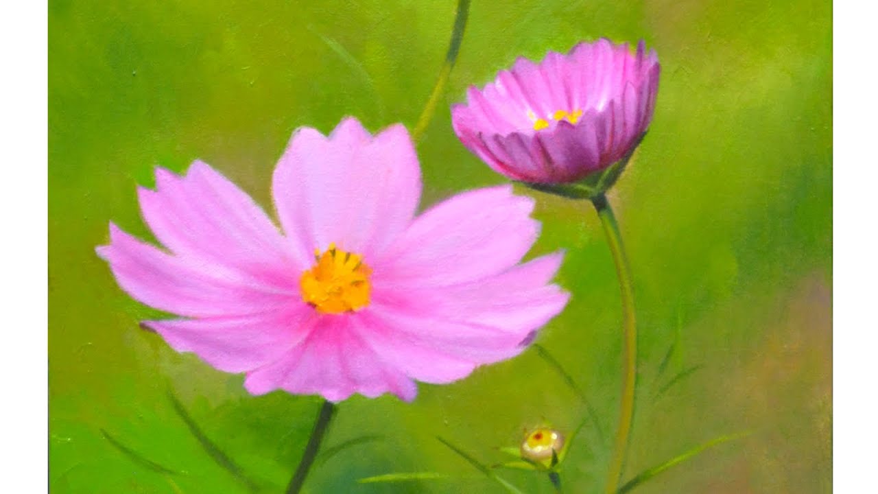 油絵タイムラプス｜コスモスを描く｜Oil painting Time lapse｜Cosmos