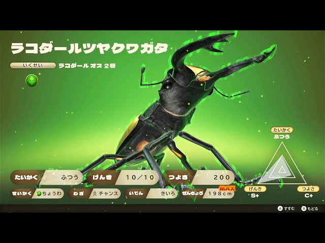 カブトクワガタ - ラコダールツヤクワガタの誕生 新世代甲虫王者