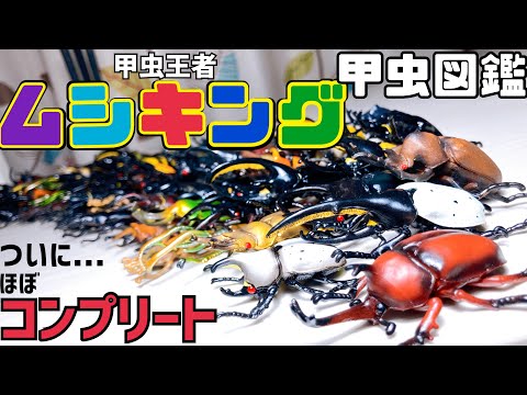 ハイクオリティの甲虫図鑑フィギュアが揃った！甲虫王者ムシキング