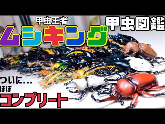 ハイクオリティの甲虫図鑑フィギュアが揃った！甲虫王者ムシキング