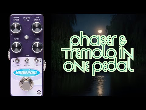 Pigtronix Moon Pool: Tremolo And Phaser In One - YouTube