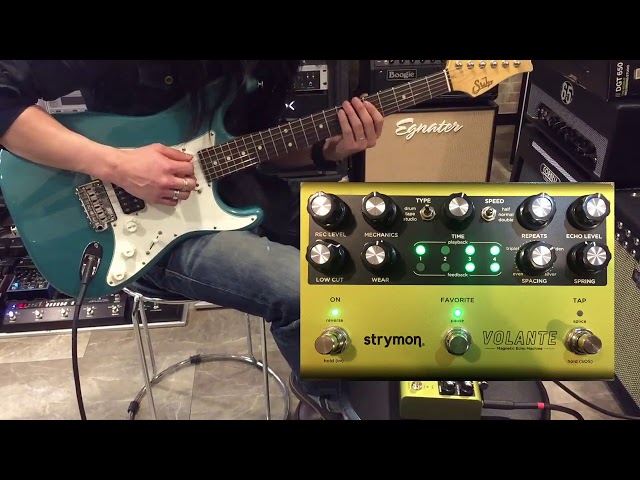 弾いてみた】strymon VOLANTE [マグネティック・エコーマシン]【アンプ