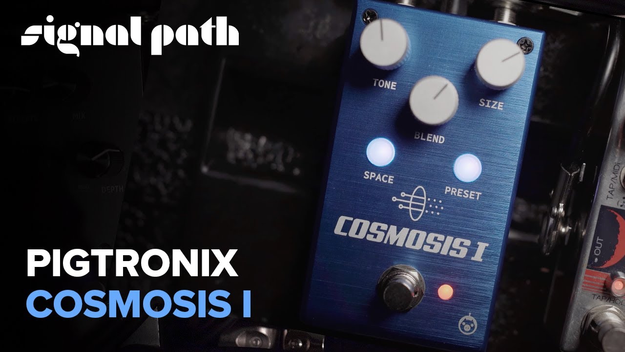 Cosmosis 1 - Pigtronix