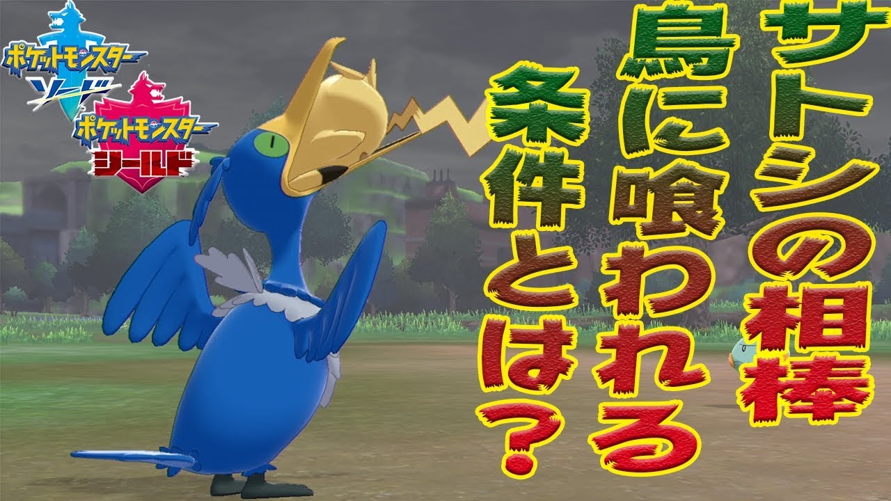 ポケモン】ウッウがピカチュウを加えてくる条件とは・・？ - YouTube