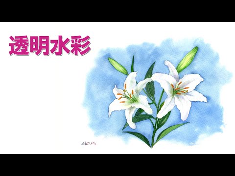Watercolor plants 02【透明水彩で描く植物】白百合 - YouTube