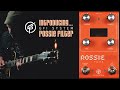 Demos in the Dark // GFI System Rossie Filter // Guitar Pedal Demo
